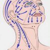 Brosse drainage lymphatique - Thumbnail Image 2